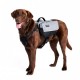 Zainetto porta-oggetti Zippy Paws Adventure Backpack Graphite