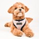 Pettorina Puppia BLAKE HARNESS A