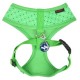 Pettorina Puppia Bonnie Harness A