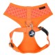 Pettorina Puppia Bonnie Harness A