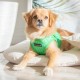 Pettorina Puppia Bonnie Harness B