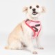 Pettorina Puppia Lance Harness A