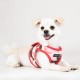 Pettorina Puppia Lance Harness B