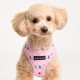 Pettorina Puppia Mollie Harness A