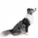 Tutore arto Suitical Recovery Double Sleeve per cani