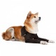 Tutore arto Suitical Recovery Double Sleeve per cani