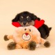 Gioco Zippy Paws Holiday Brainey - Reindeer