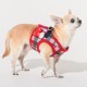 Pettorina Puppia Festive Harness B