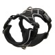 Pettorina Puppia Terry Harness H