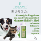 FluidoPet Flash shampoo naturale per cani e gatti.